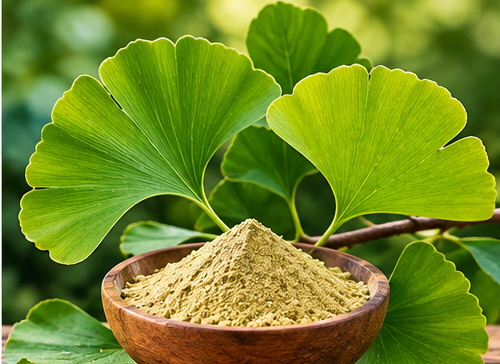 Ginkgo Biloba leaves